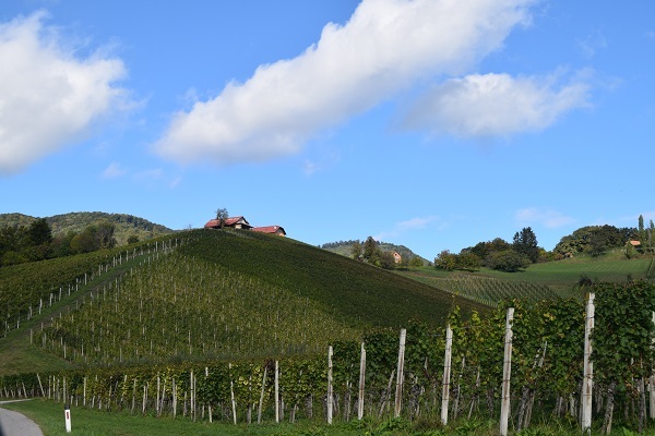 Grad Pišece - Čas za izlet