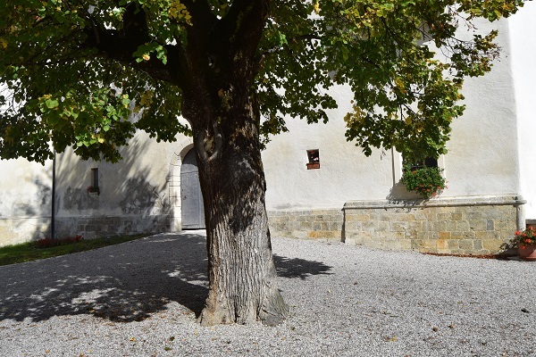 Grad Pišece - Čas za izlet